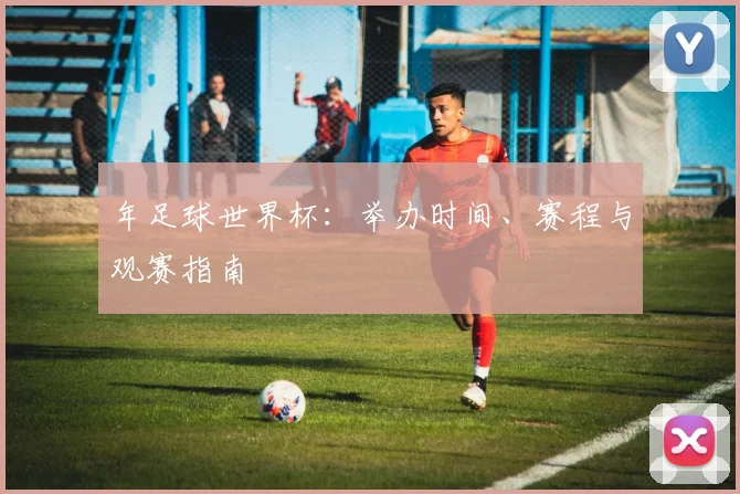 年足球世界杯:举办时间、赛程与观赛指南