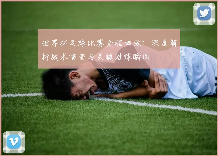 世界杯足球比赛全程回放：深度解析战术演变与关键进球瞬间